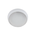 Corp, Iluminat, LED, Rotund, pentru, tavan, BRLED, 6W, ALB, IP54, Elmark, 95BRLED6WH Corp, Iluminat, LED, Rotund, pentru, tavan, BRLED, 6W, ALB, IP54, Elmark, 95BRLED6WH