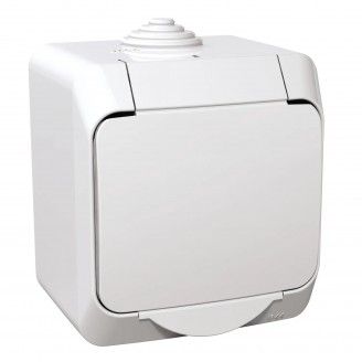 Priza, simpla, 16A, 250V, Cu, capac, mat, IP44, Alb, Schneider, Cedar, Plus, WDE000541 - imaginea produsului WDE000541 din categoria Schneider Cedar Plus