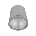 Spot, LED RDLCOB, Gri, Rotund, Aplicat, 10W, 800 lm, 230V, Lumina calda, 2700-3000K, 95 mm, IP20, Elmark, 92DLOM1027/S