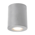 Spot, Tavan, FRANCA, 90, GRI, 1XGU10, IP55, Elmark, 96FRANCA90/GR Spot, Tavan, FRANCA, 90, GRI, 1XGU10, IP55, Elmark, 96FRANCA90/GR