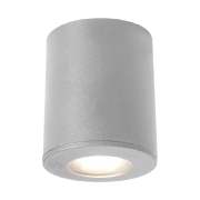 Spot, Tavan, FRANCA, 90, GRI, 1XGU10, IP55, Elmark, 96FRANCA90/GR