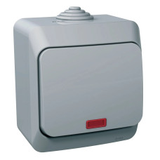 Intrerupator, cap, cruce, 16A, cu, indicator, luminos, IP44, Gri, Schneider, Cedar, Plus, WDE000671