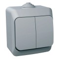Intrerupator, dublu, 16A, cu, indicator, luminos, IP44, Gri, Schneider, Cedar, Plus, WDE000651