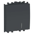 Intrerupator, indicator, luminos, 2M, negru, Schneider, Easy, Styl, LMR1412003