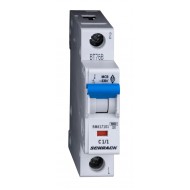 Intrerupator, Automat, Monopolar, 1P, Schrack, Curba, C, 1A, 6kA, Schrack, BM617101--