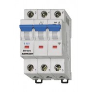 Intrerupator, Automat, Tripolar, 3P, Schrack, Curba, D, 50A, 10kA, Schrack, BM019350--