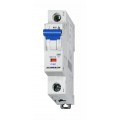 Intrerupator, Automat, Monopolar, 1P, Schrack, Curba, C, 40A, 10kA, Schrack, BM017140-- Intrerupator, Automat, Monopolar, 1P, Schrack, Curba, C, 40A, 10kA, Schrack, BM017140--